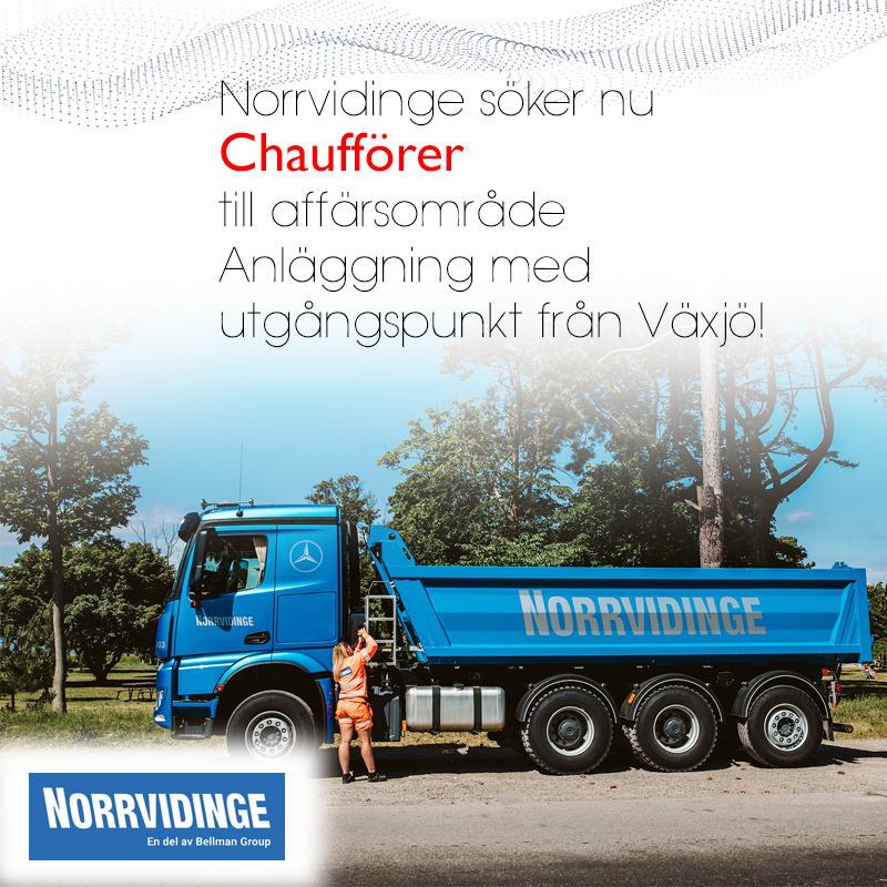norrvidige3